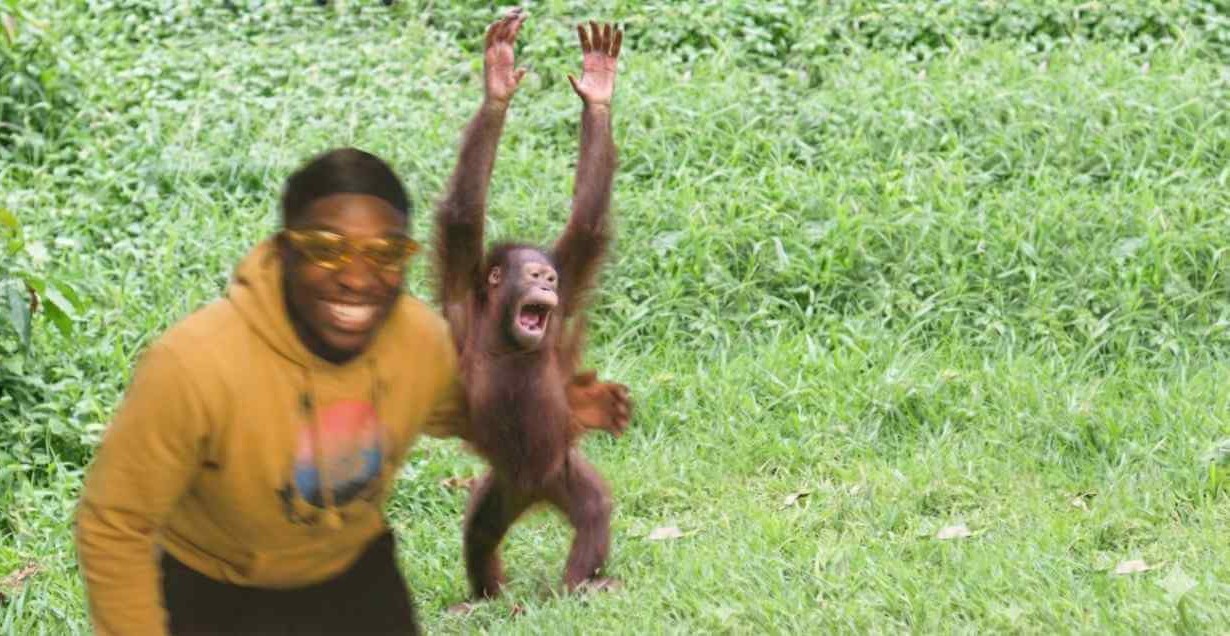 Open Source Collaboration